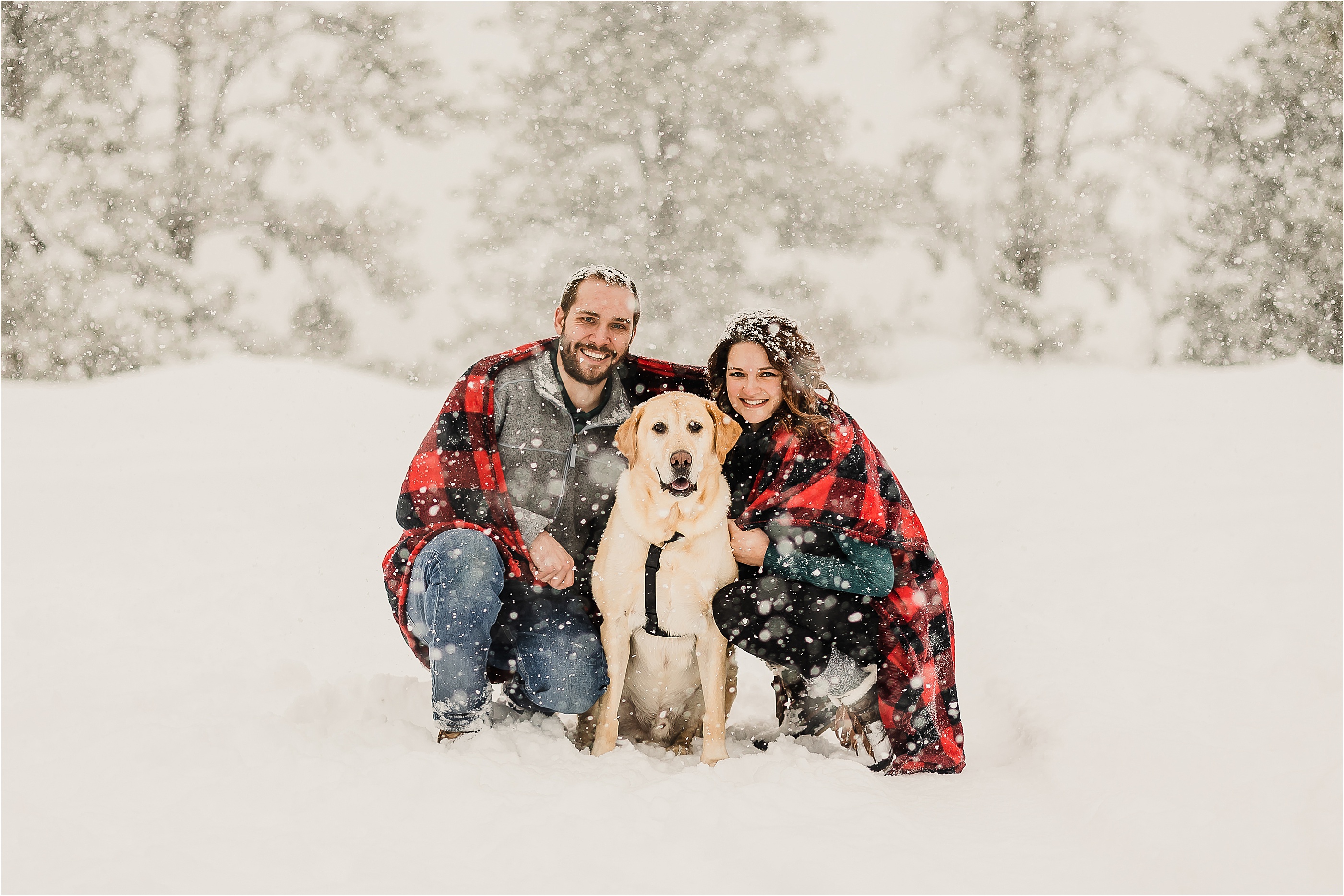 Engagement Photos Colorado with dog in the snow