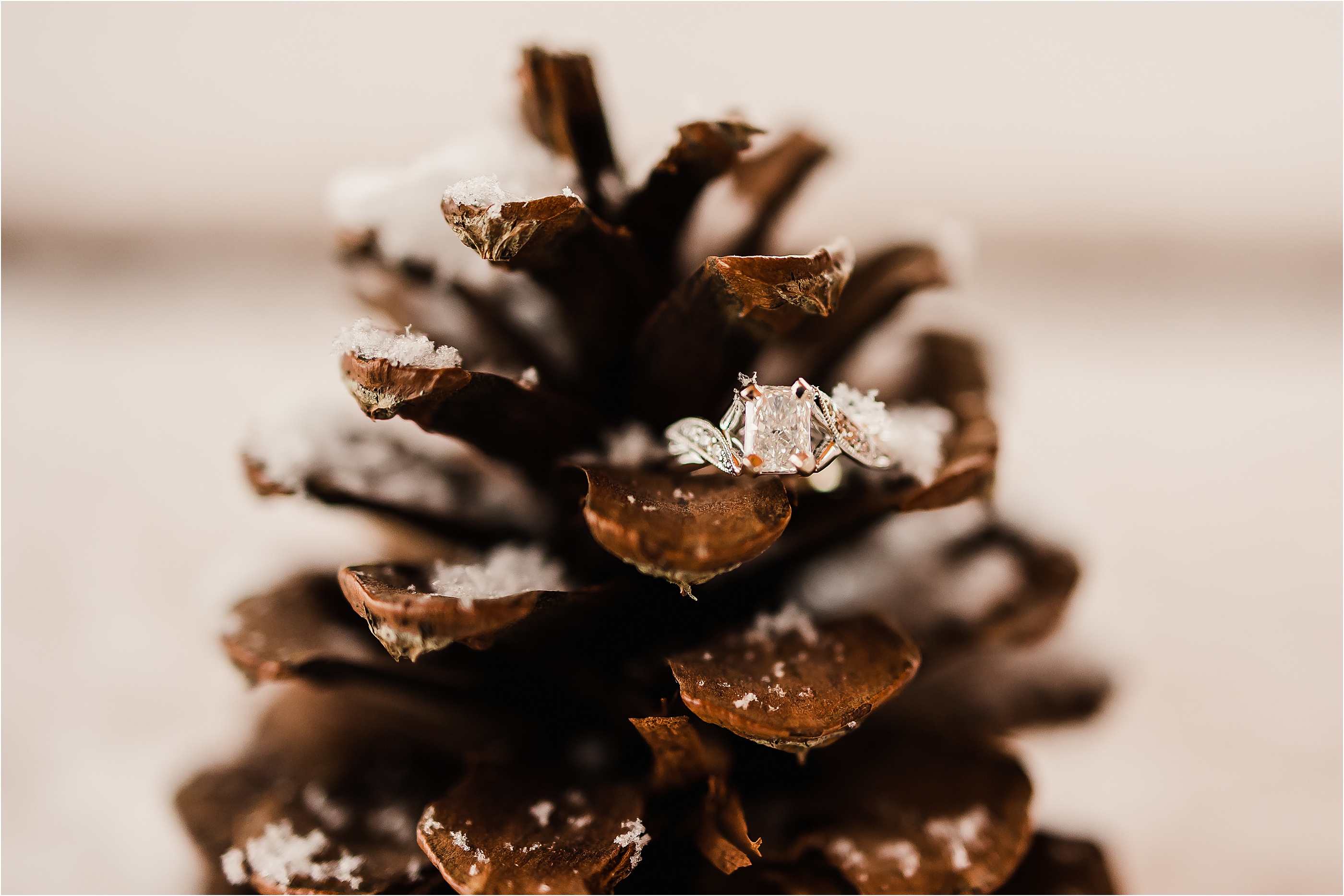 Winter Engagement Photos, engagement ring on pinecone with details, engagement ring and snowflakes
